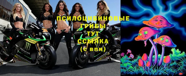 наркотики Белокуриха