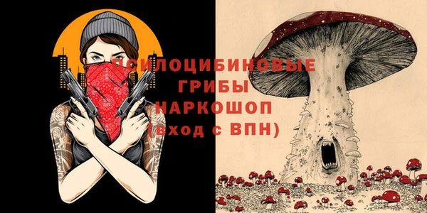 кокс Беломорск