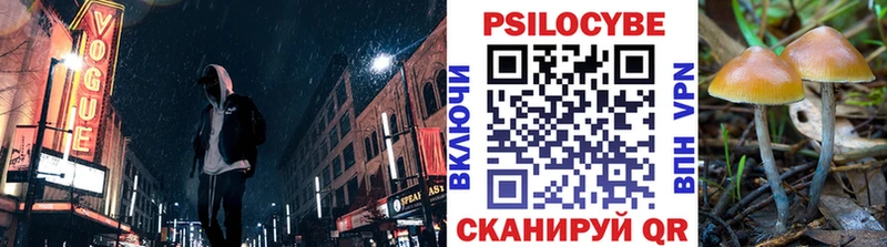 mega как зайти  Верхняя Тура  Галлюциногенные грибы ЛСД  где можно купить наркотик 
